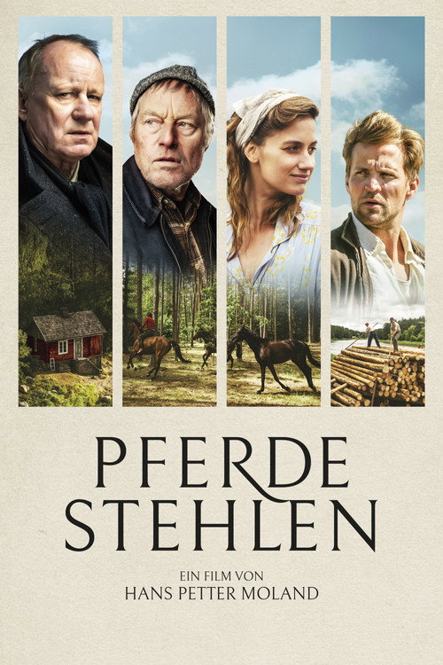 Cover von Pferde stehlen
