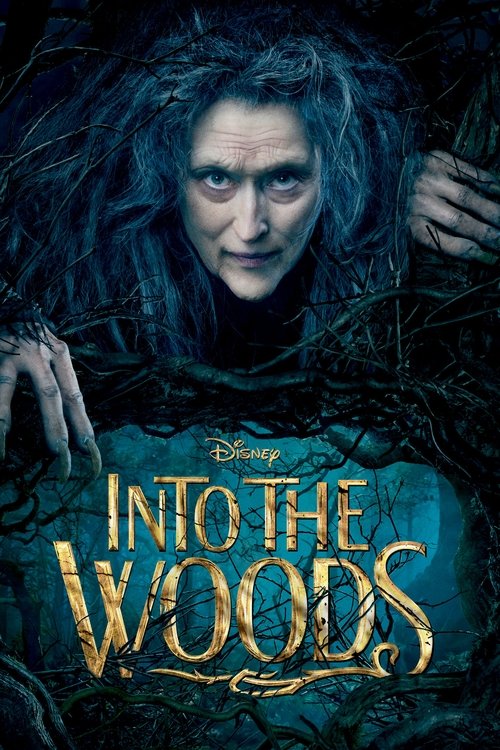 Cover von Into the Woods