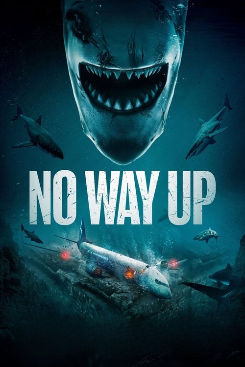 Cover von No Way Up
