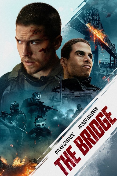 Cover von The Bridge