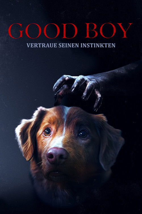 Cover von Good Boy - Trust His Instincts